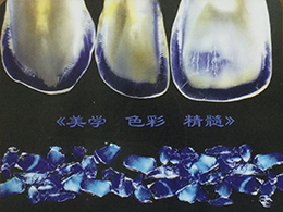 諾億租賃全程助力--《美學(xué) 色彩 精髓》牙科講座